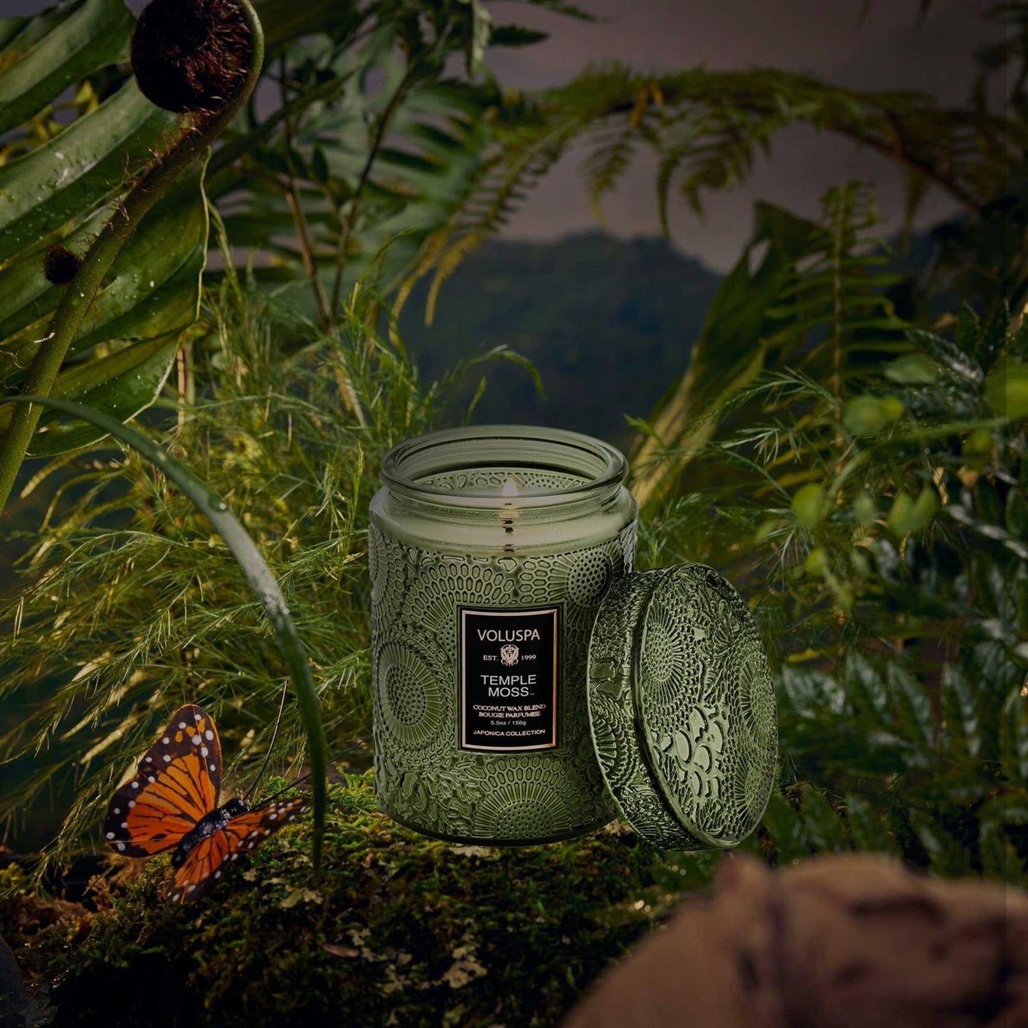 Temple Moss Small Jar Candle 50 Timer