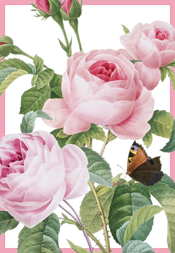 Kort m/konvolutt Pink roses