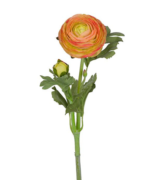 Ranunkel orange 50 cm