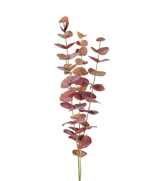 Eucalyptus rødlige toner 60 cm