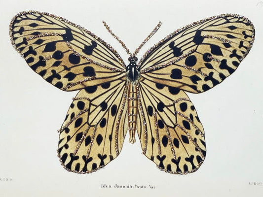 Glitterkort Butterfly