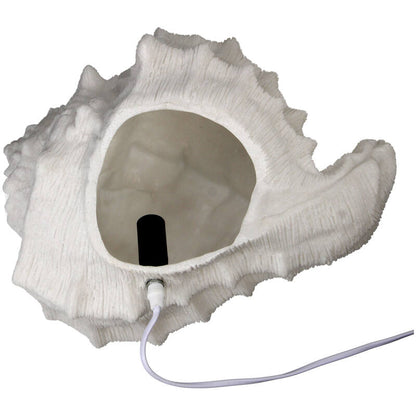 Bordlampe skjell