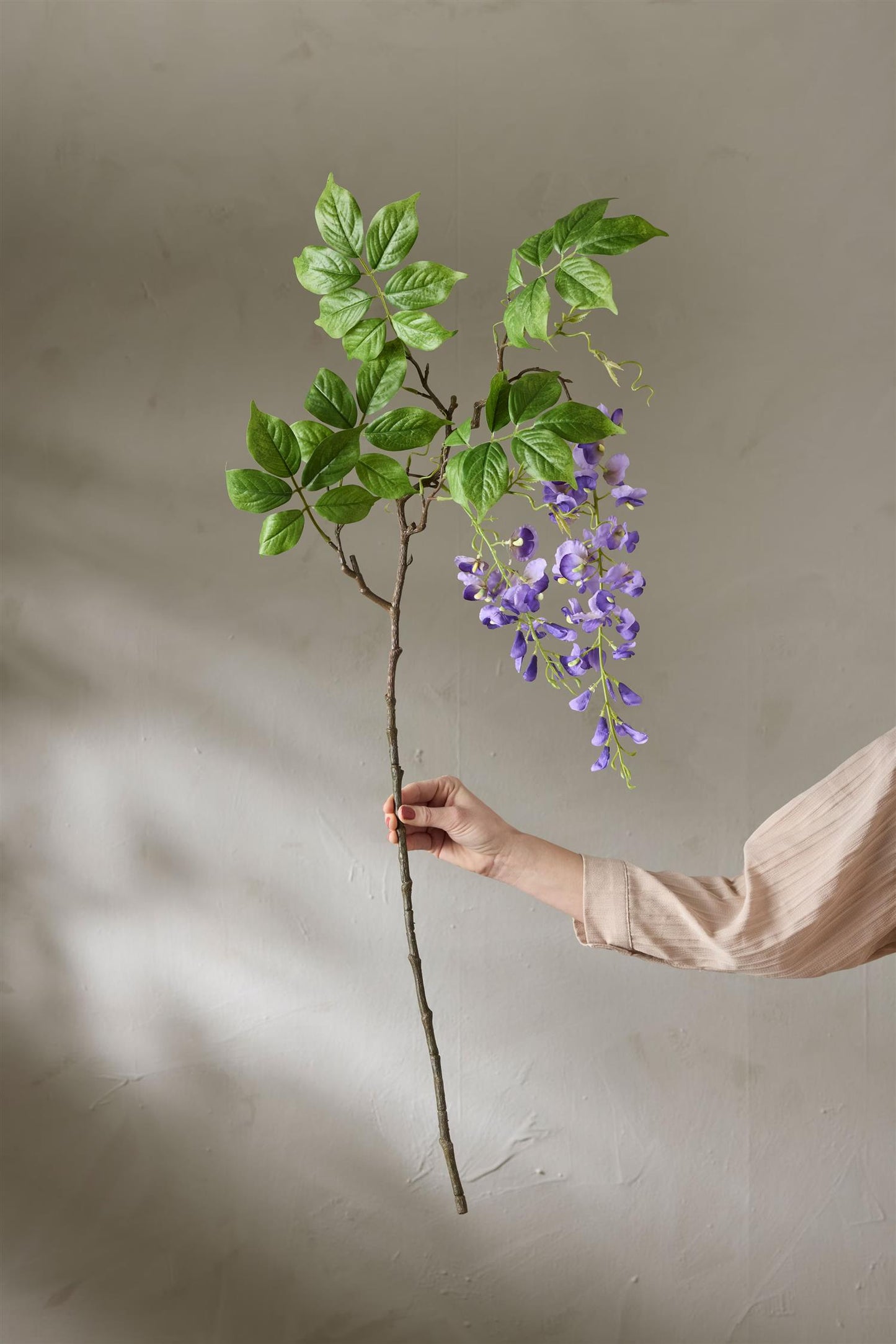 Wisteria lilla 100 cm