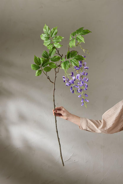 Wisteria lilla 100 cm