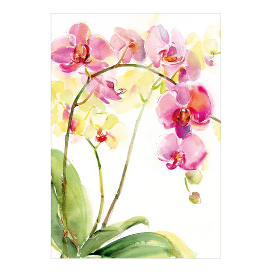 Kort m/konvolutt Watercolor orchids