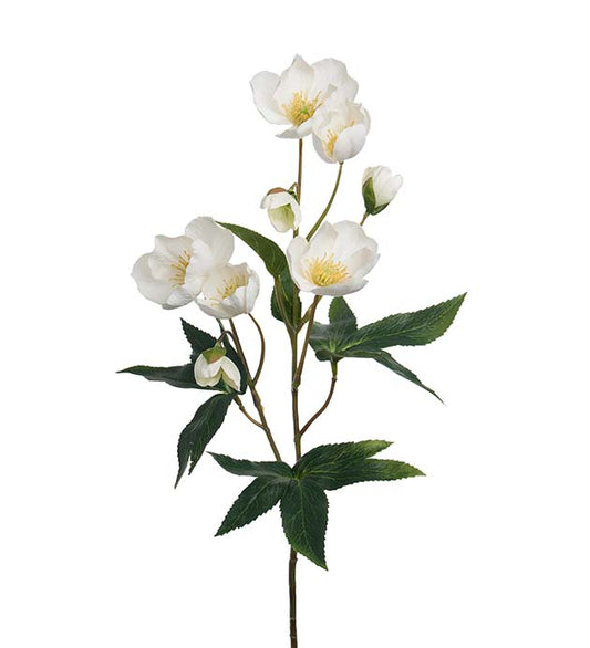 Julerose hvit 57 cm