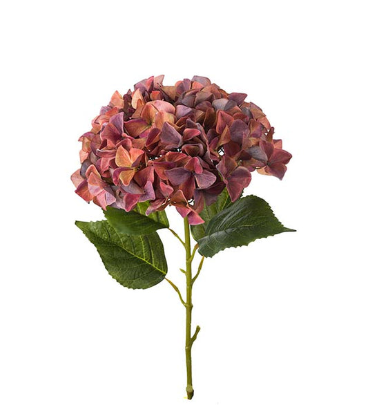 Hortensia orange 110 cm