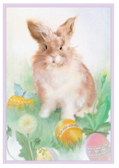 Kort m/konvolutt Easter bunny