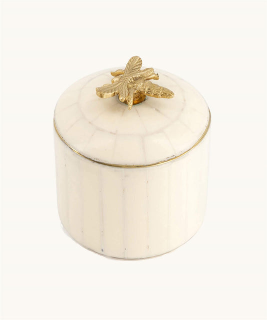 Queen Bee Circus Box