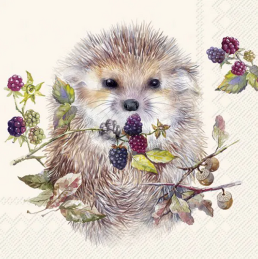 Serviett lunch forest hedgehog cream