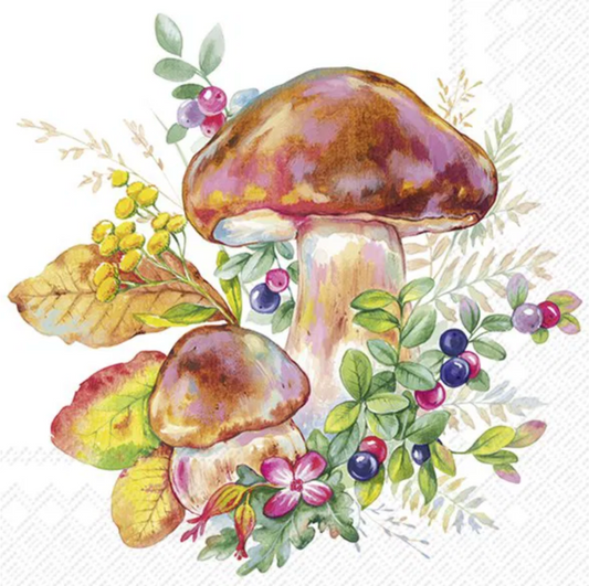 Serviett lunch mushroom season white