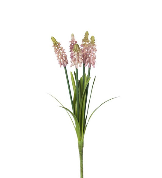 Perlehyasint rosa 30 cm