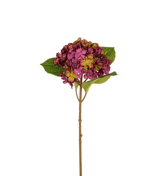 Hortensia lilla 40 cm