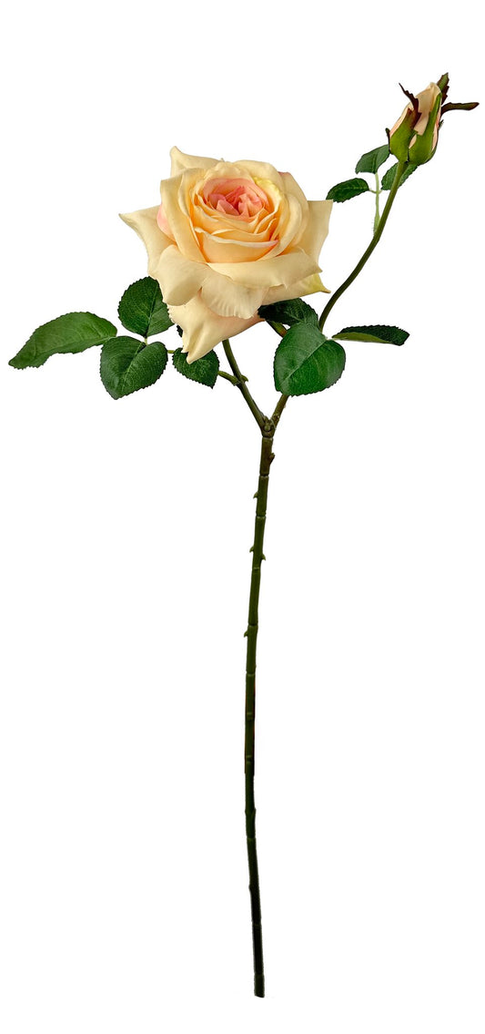Garden rose peach 66cm