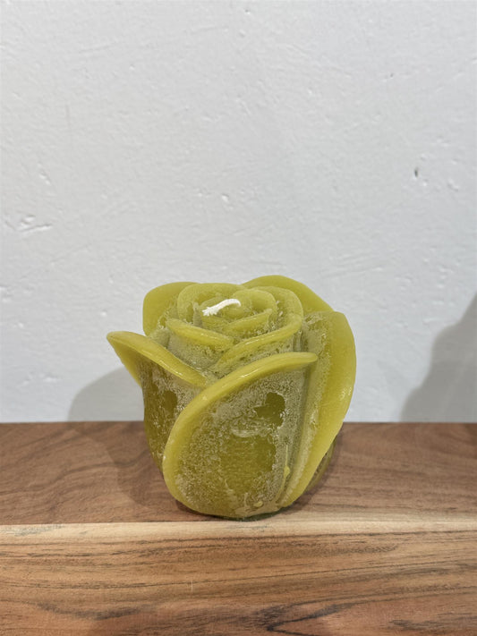 Rose lys lime Ø12x10 cm