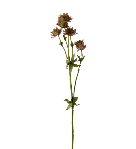 Stjerneskjerm 55 cm