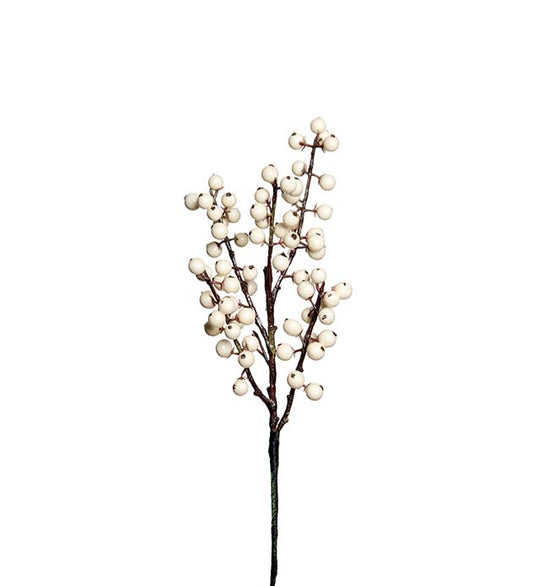 Bærkvist hvit 35 cm