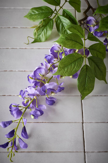 Wisteria lilla 100 cm