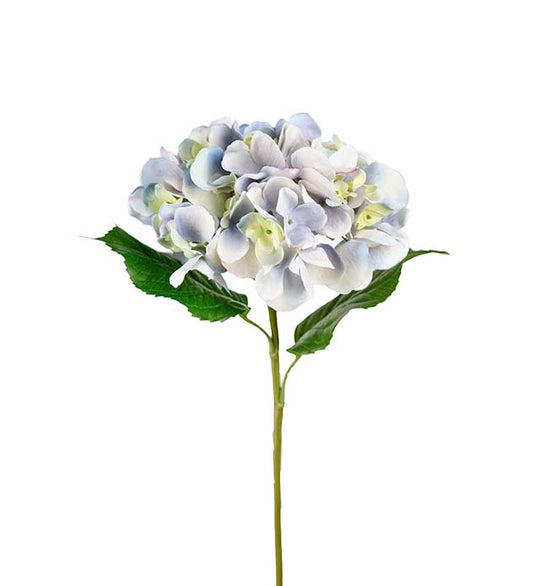 Hortensia lys blå 55 cm