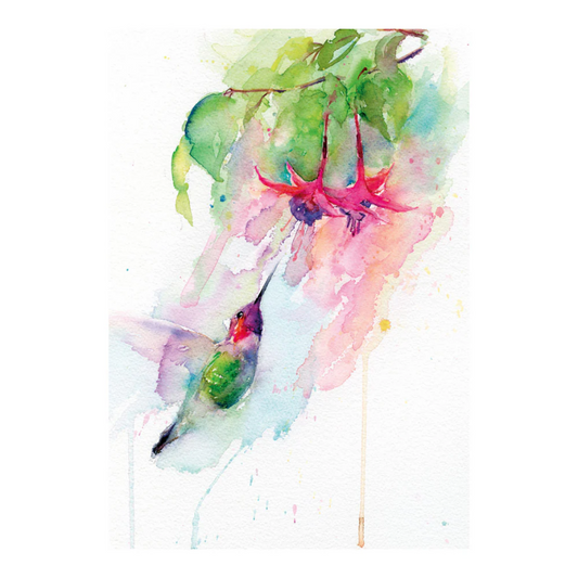Kort m/konvolutt Hummingbird and fuchsia