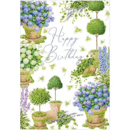 Kort m/konvolutt Potted hydrangeas