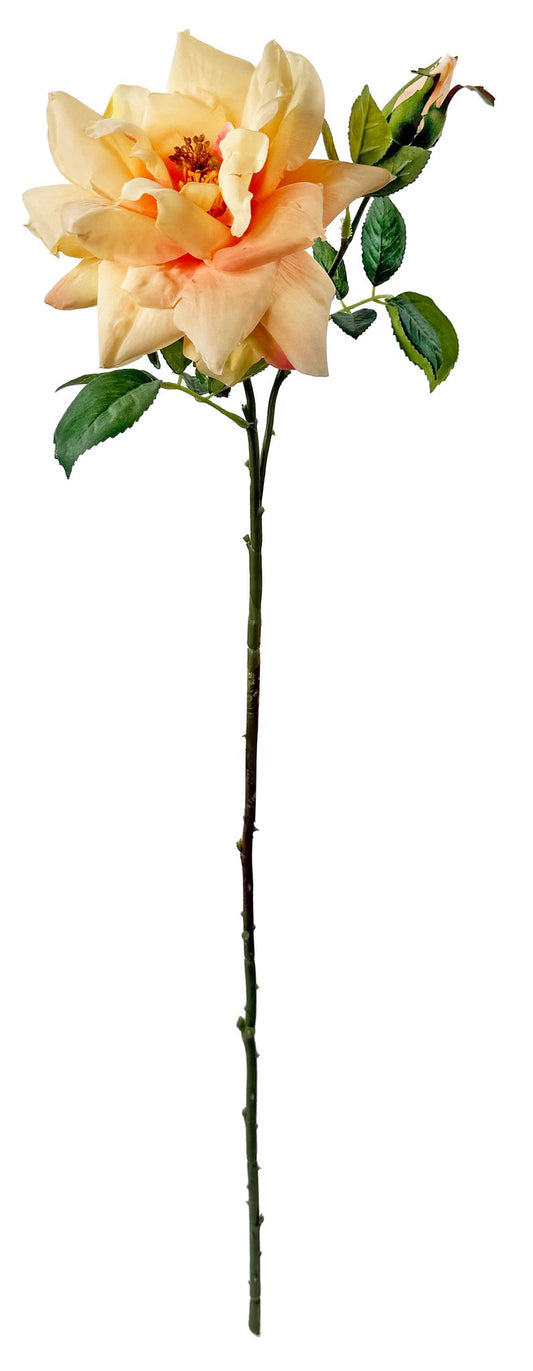 Garden rose peach 66cm