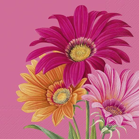 Serviett Lunch Joyful Gerbera pink