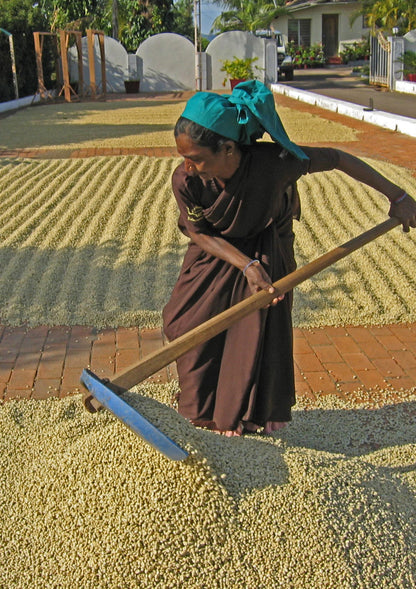 Malabar Monsooned hele bønner 250 gram