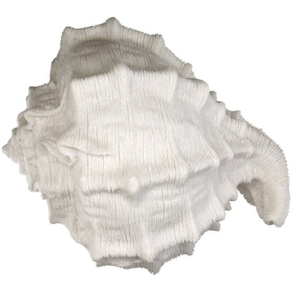 Bordlampe skjell