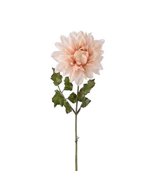 Dahlia lys fersken 45 cm