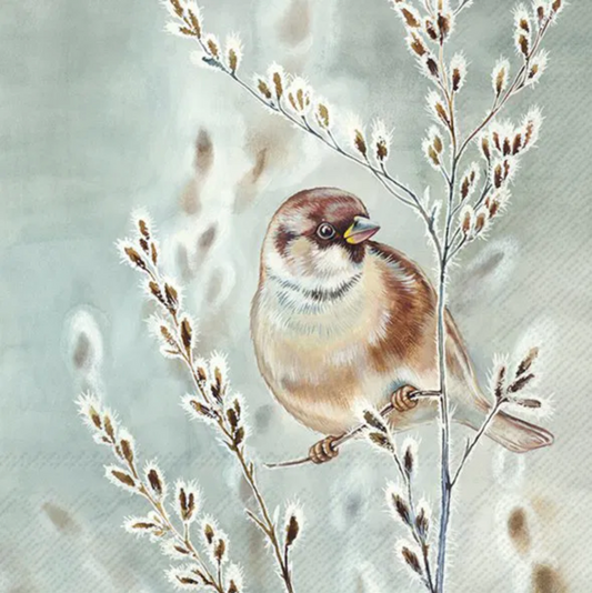 Serviett kaffe winter melody blue green