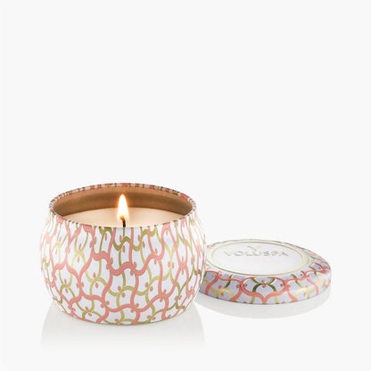 Saijo Persimmon Mini Tin Candle 25 Timer
