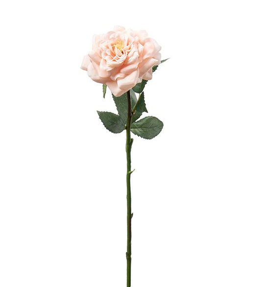 Rose fersken 41 cm