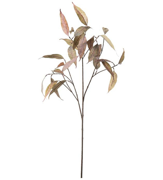 Eucalyptus 90 cm