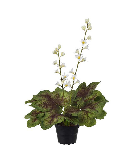 Alunrot i potte hvit 45 cm