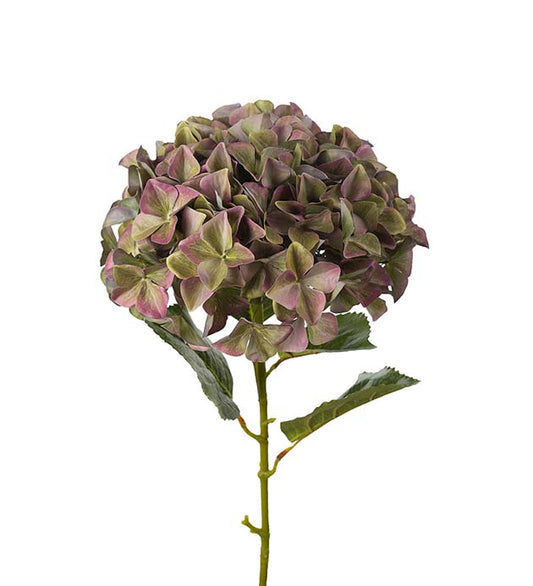 Hortensia lilla 110 cm