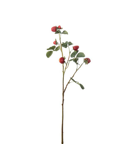 Jordbærkvist 70 cm