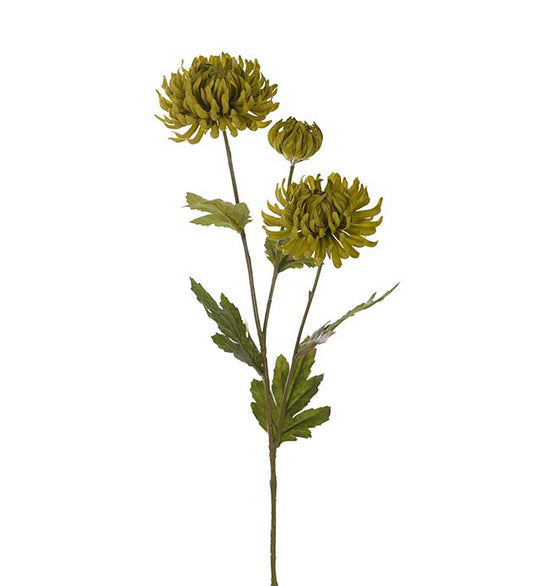 Chrysanthemum grønn 60 cm