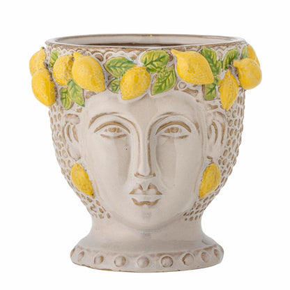 Limone potte
