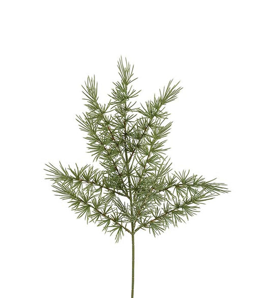 Lerke kvist 60 cm