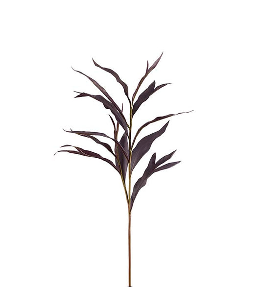 Grevillea kvist burgunder 85 cm